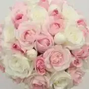 cocoの画像
