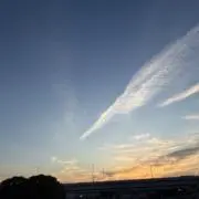 みーの画像