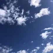 そらちゃんの画像