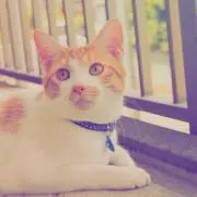min