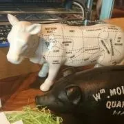 MOMOKOの画像
