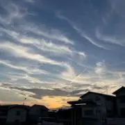 羊の画像