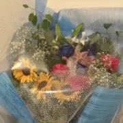 たけの画像