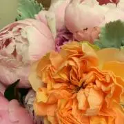 fukuの洋服屋さんの画像