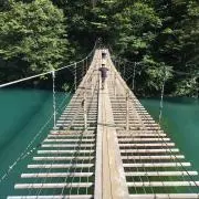 ヒジリ