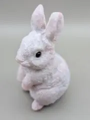 星藍の画像