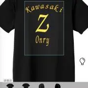 ⚠️まー様専用 Z1Z2 ドレミHAYASHI キャスト 中古美品 前後セット