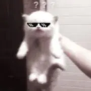 不死身ちゃんの画像