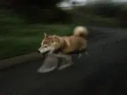 おぱぴーなの画像