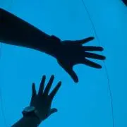 モリの画像