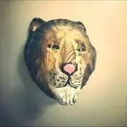 Lionの画像
