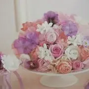 Senriの画像