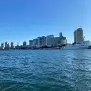 トトロの画像