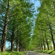NAOKIの画像