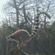 ゆう