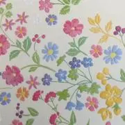 Apの画像