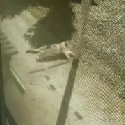 るかるか