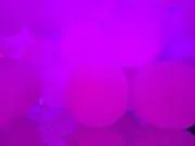 みぃの画像