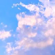 アオイ8/13~18発送❌の画像