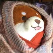 しばたろうの画像