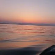 ジョーの画像