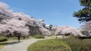 Lura 24時間以内発送の画像