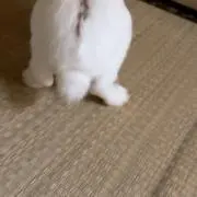 kの画像
