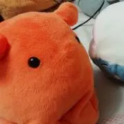 めんだこの画像