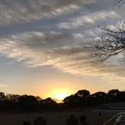 mikaの画像