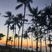 たの画像