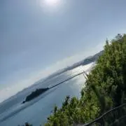 かげの画像