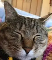 あの⭐︎