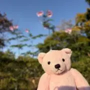 とりどり