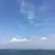 TMの画像