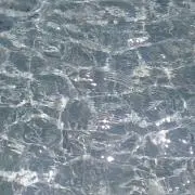 alohaの画像