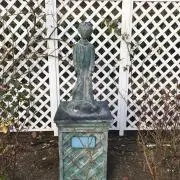 チルソーの画像