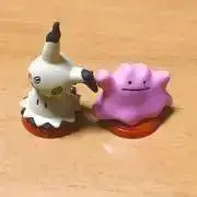 ノラの画像