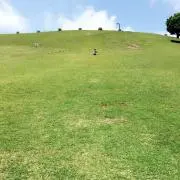 ぷりん