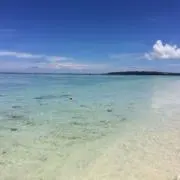 colonの画像