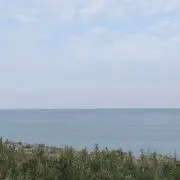 tatsumaの画像