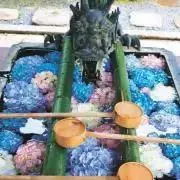 金木犀　プロフ読んで下さいの画像