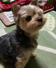 むねまさ