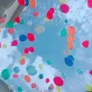 いくら☆