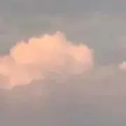 ゆー(値下げ交渉してください^^*