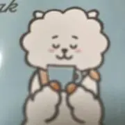 サリーの画像