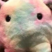 しのの画像