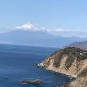 レイ