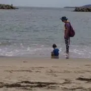 tomomom