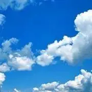 laughter (担降りのため整理中)の画像