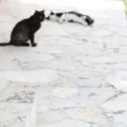 mono.の画像